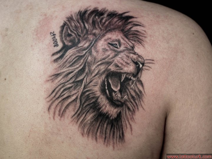 Arslan dövmesi lion tattoo aslan dövme