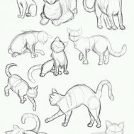 cat kedi kediler dövme modelleri dövme desenleri tattoo desing