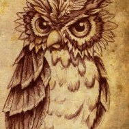 Baykuş owl birds dövme modelleri dövme desenleri tattoo desing